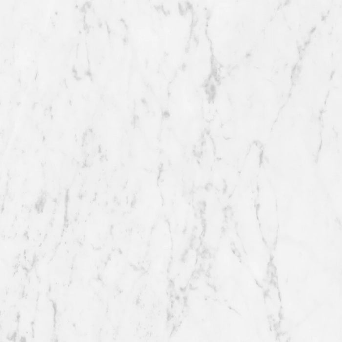 Marmorea Carrara 24x24 Polished Marble Look Porcelain Tile 1