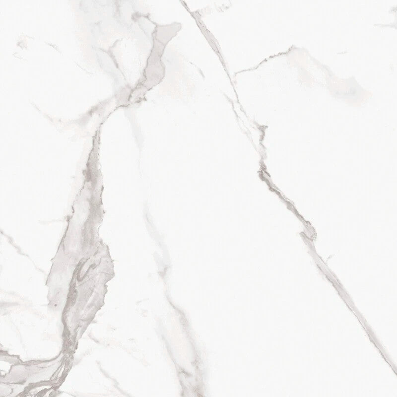 Marmorea Estatuario 24x24 Marble Look Porcelain Tile