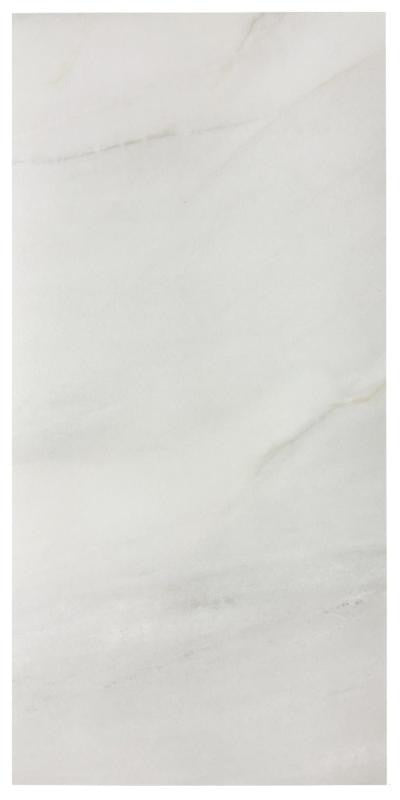 Fossile Matte 12x24 Stone Look Porcelain Tile 1