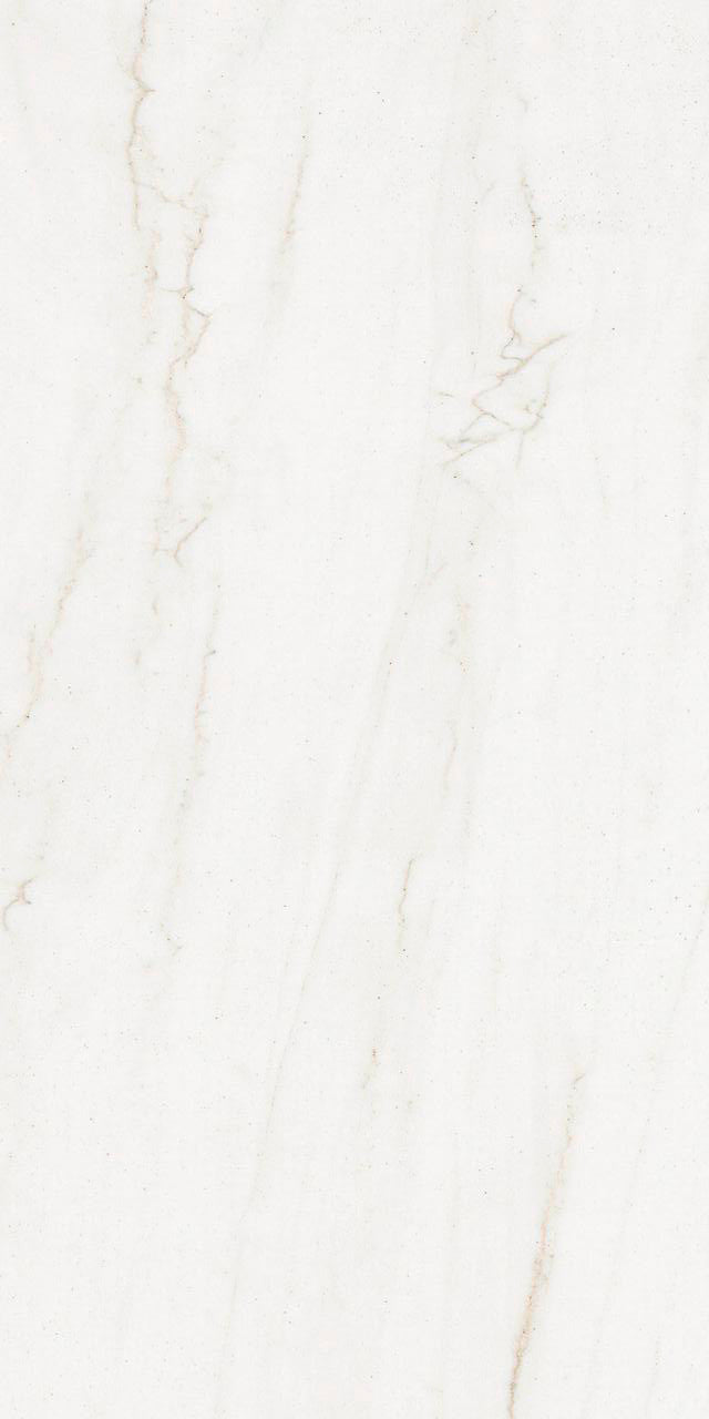Swing Blanco Polished 24x48 Porcelain Tile 1