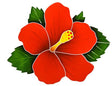 Hibiscus Red Pool tiles