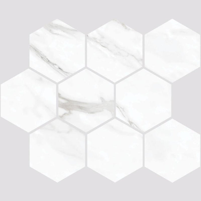 Carenza Bianca 4" Hex Matte Porcelain Mosaic Tile 12x12 Sheet 1