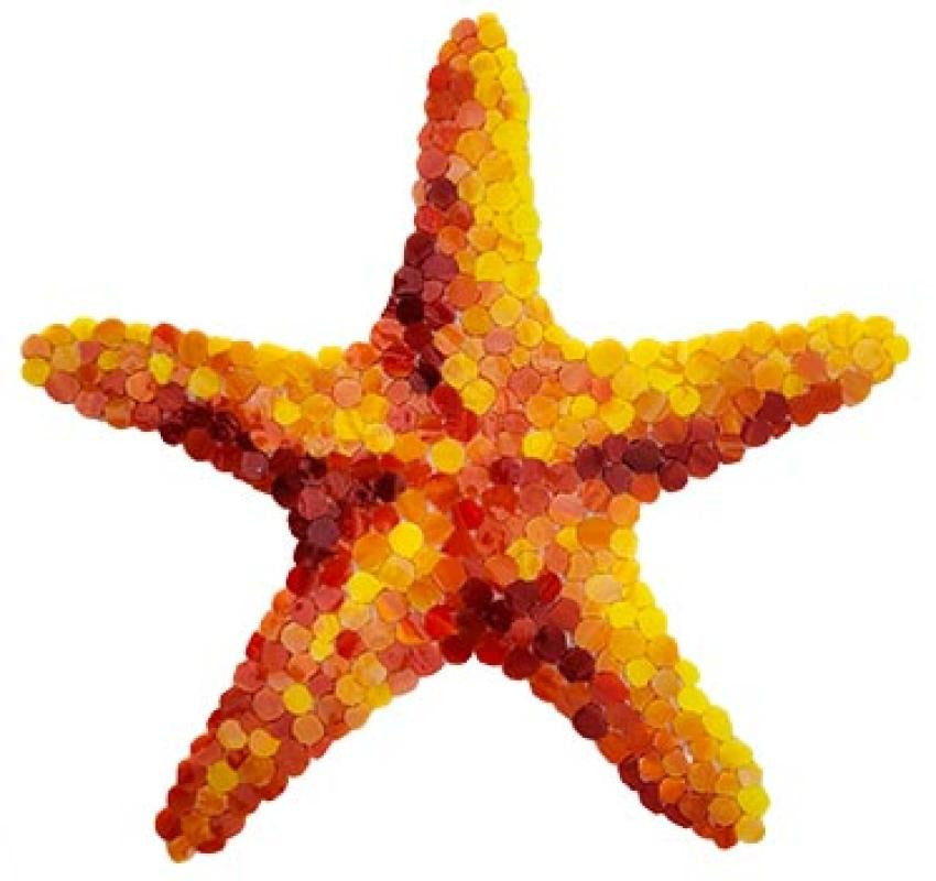 Starfish 10x10 Glass Mosaic Tile