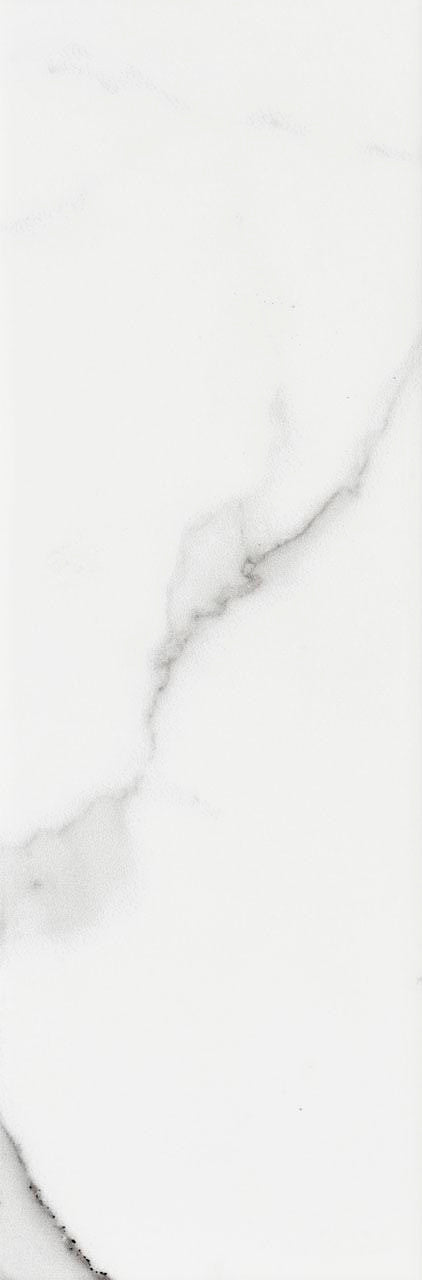 Belmar Glossy 4x12 Ceramic Wall Tile 1