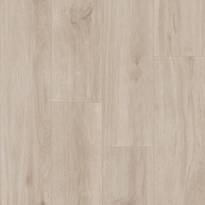Momentum Maple 8x60 Wood Look Luxury Vinyl Plank 1