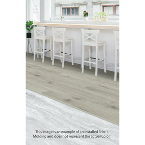 Whistler Ridge Glacier Path vinyl 3-in-1 transition molding, SPC118-TIO, view 2 of 4