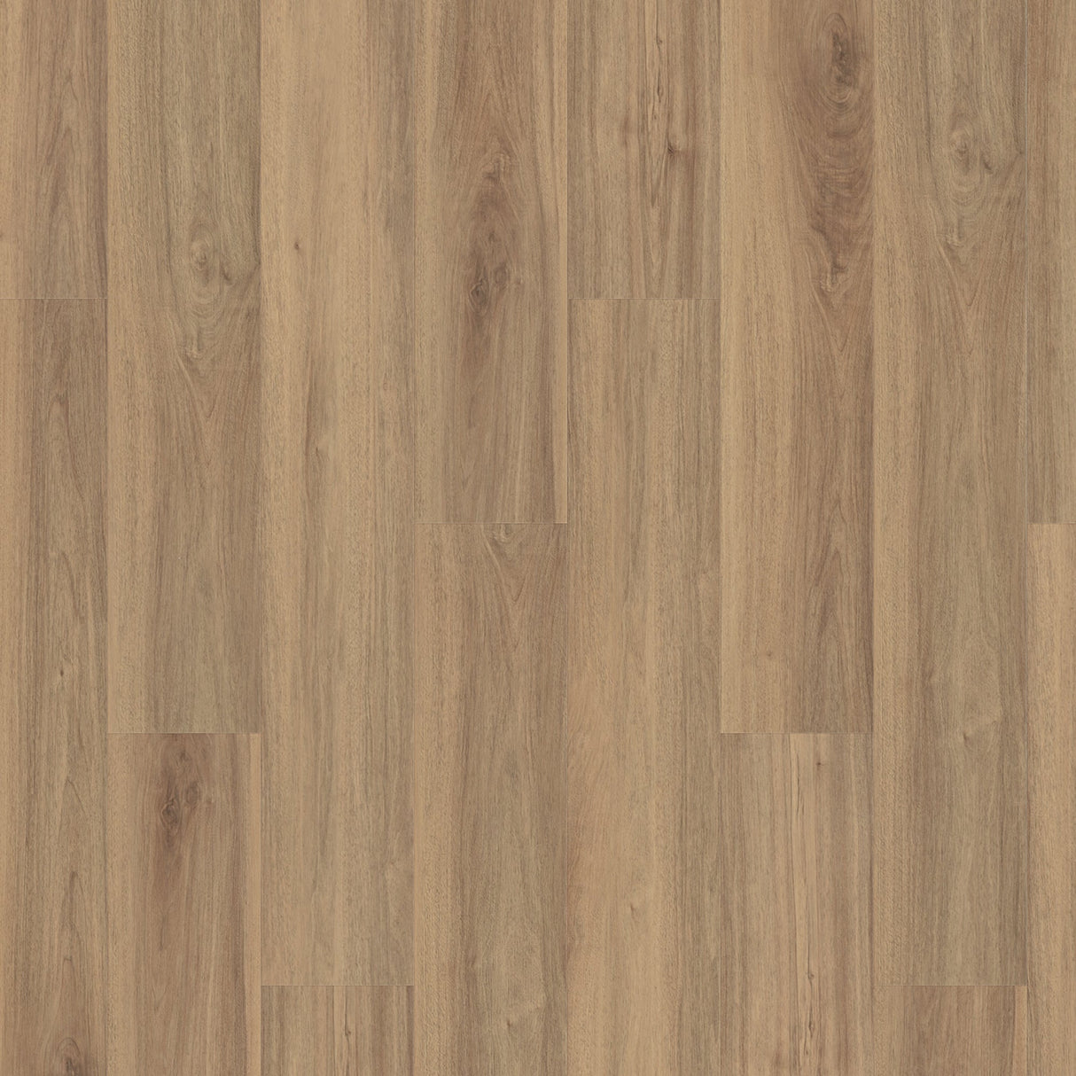 Whistler Ridge Rigid Core Standard Flooring