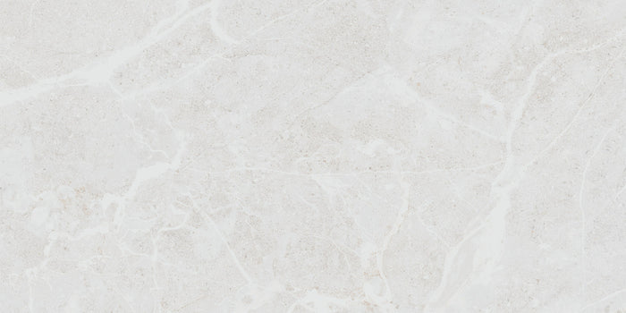 Belvedere White Matte 12x24 Porcelain Tile 1