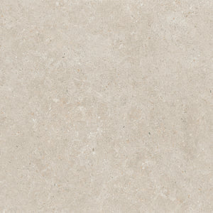 24x24 Matte Porcelain Floor Tile