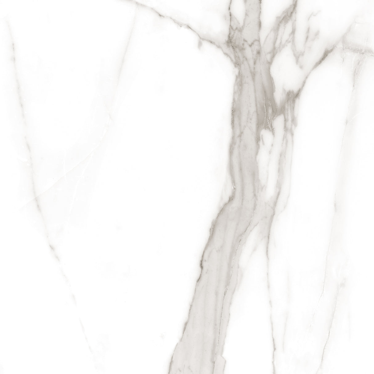 Calacatta Tranco 32x32 Polished Marble Look Porcelain Tile