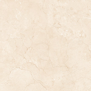 Marfil Crema 24x24 Polished Marble Look Porcelain Tile
