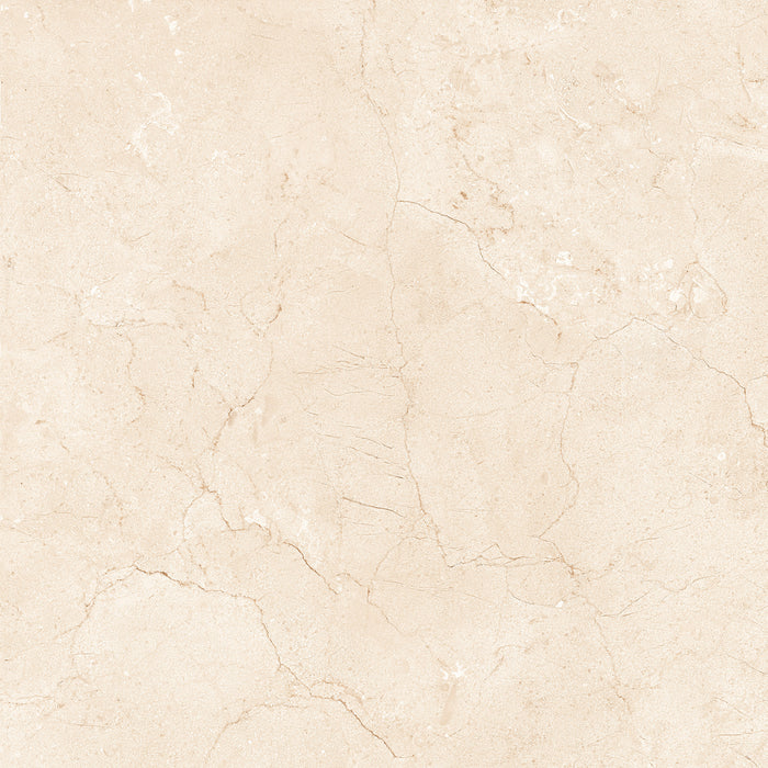 Marfil Crema 24x24 Polished Marble Look Porcelain Tile 4