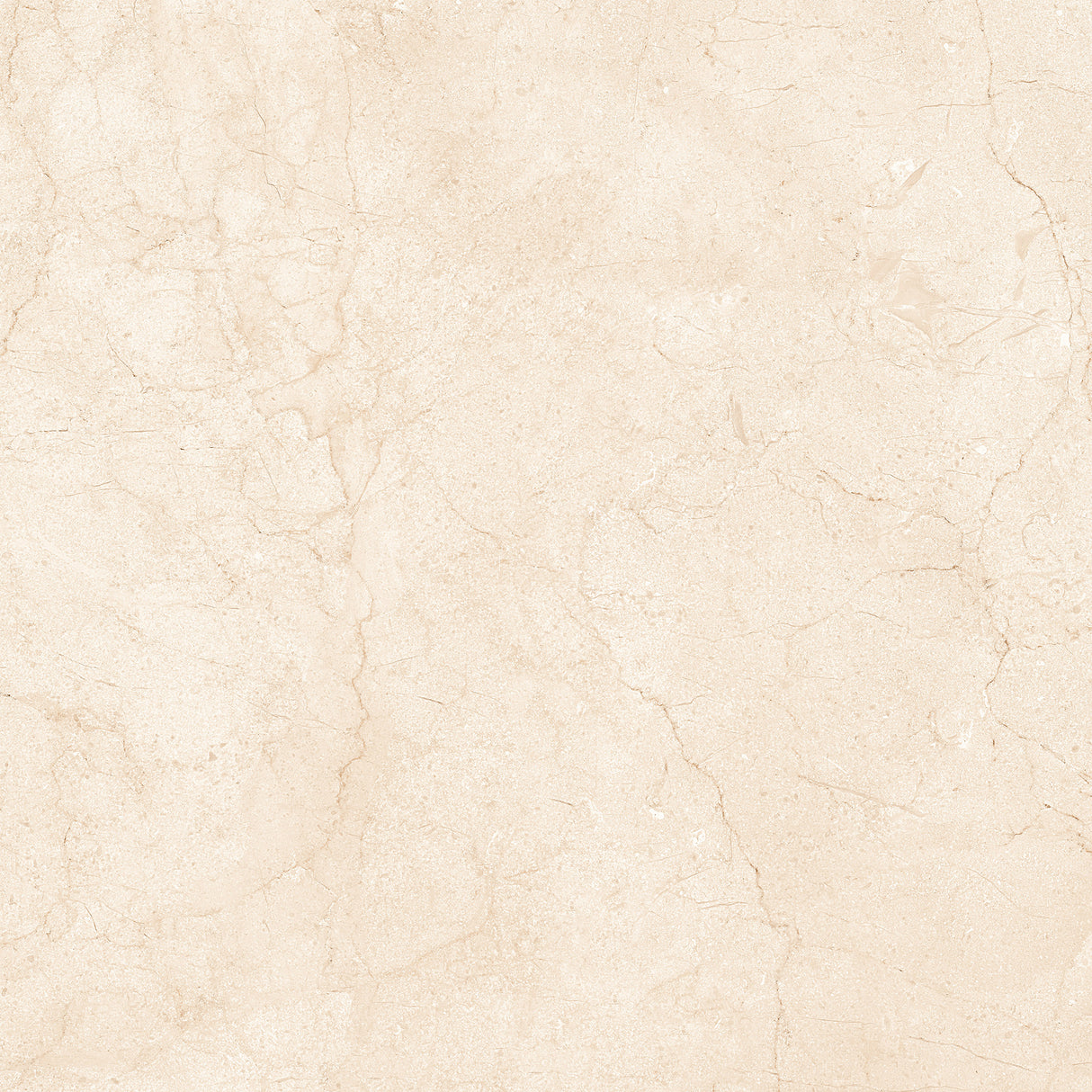 Marfil Crema 24x24 Polished Marble Look Porcelain Tile