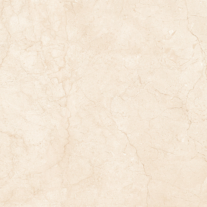 Marfil Crema 24x24 Polished Marble Look Porcelain Tile 5