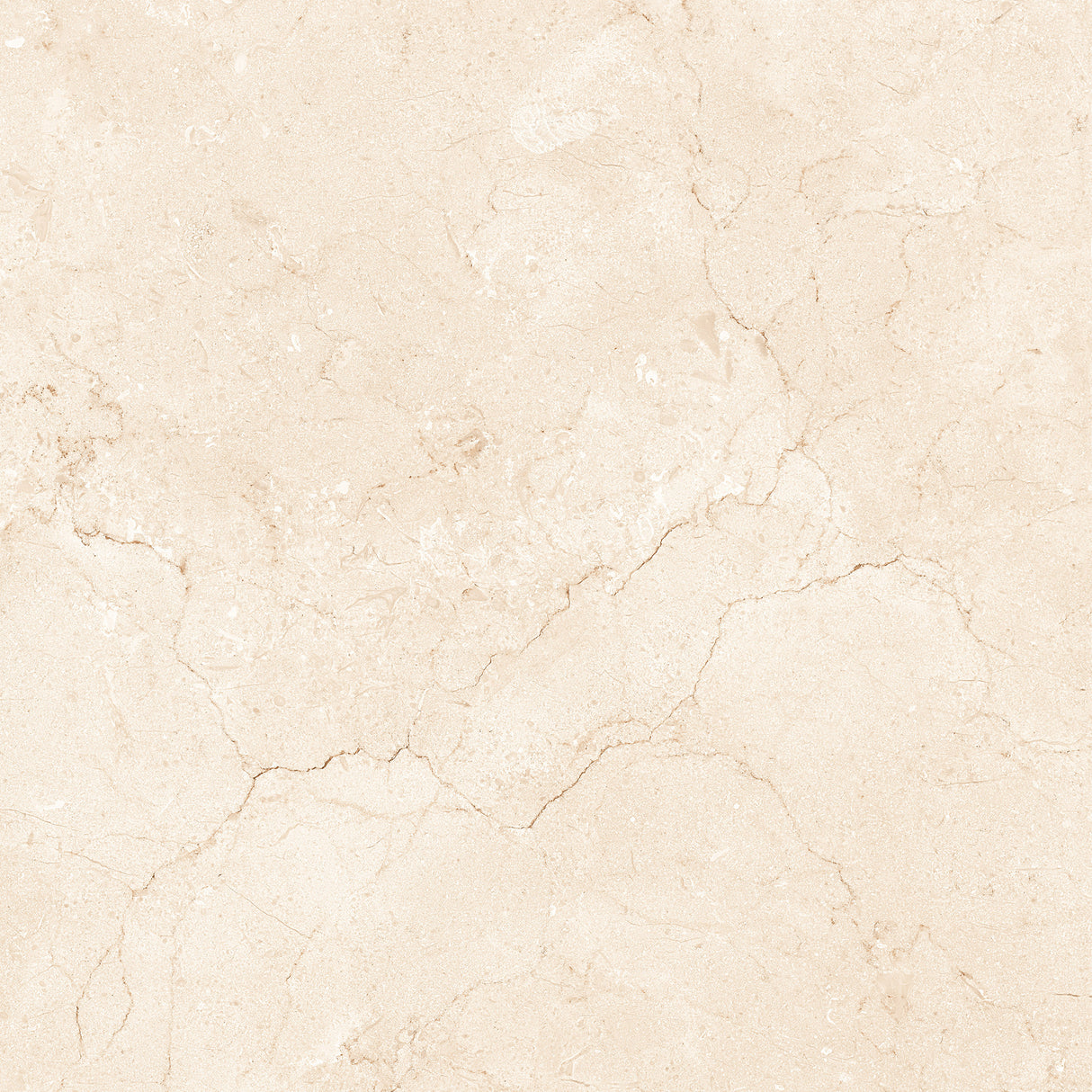 Marfil Crema 24x24 Polished Marble Look Porcelain Tile