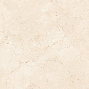 Marfil Crema 24x24 Polished Marble Look Porcelain Tile