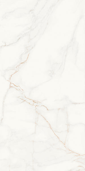 Marble Look Porcelain wall and floor Tile