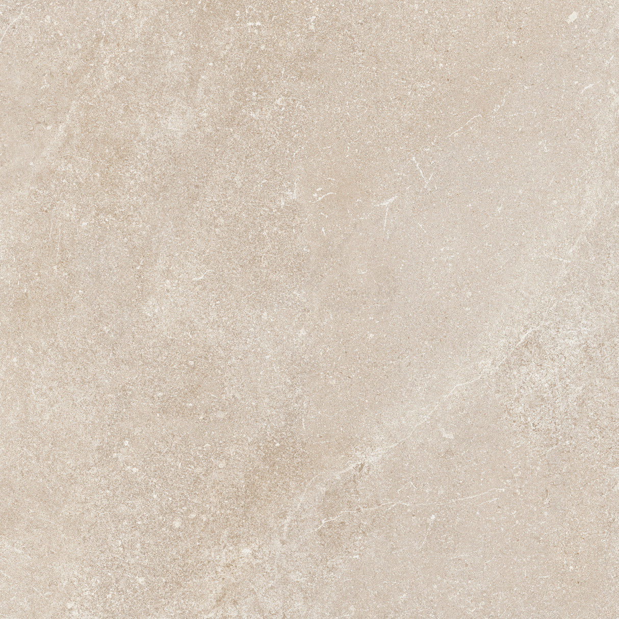 24x24 Matte Porcelain Tile