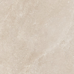 24x24 Matte Porcelain Tile