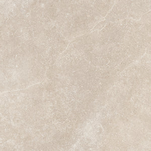 Matte Porcelain Wall Tile