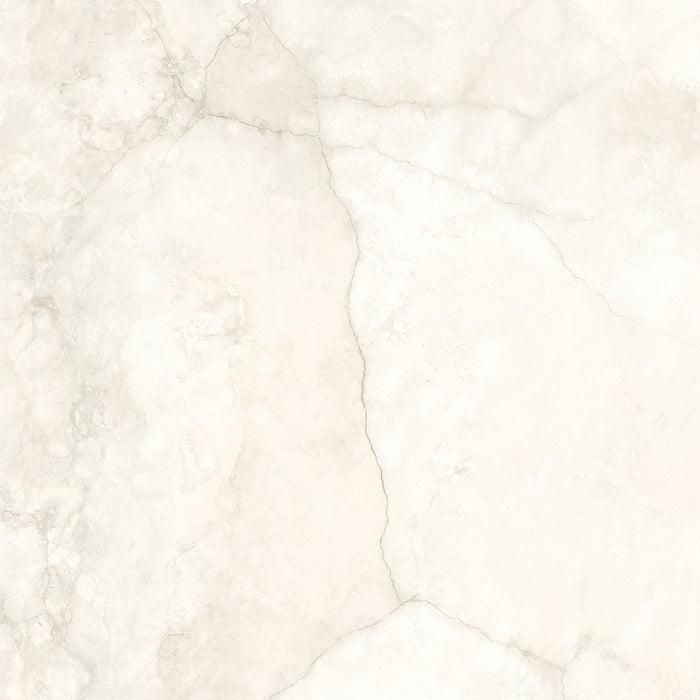 Cronos Marfil 24x24 Honed Limestone Look Porcelain Tile 1