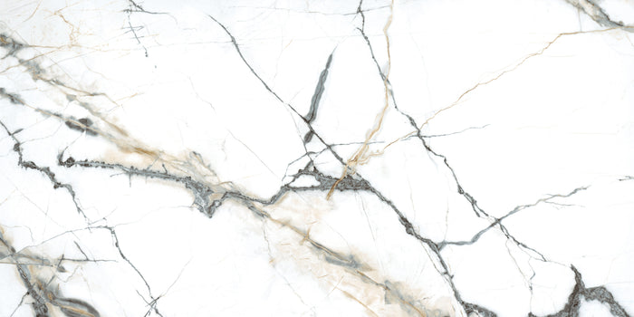 Pietra Marme de Milano 24x48 Marble Look Porcelain Tile 3