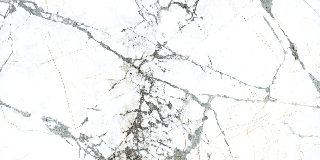 Pietra Marme de Milano 24x48 Azulejo de porcelana con aspecto de mármol