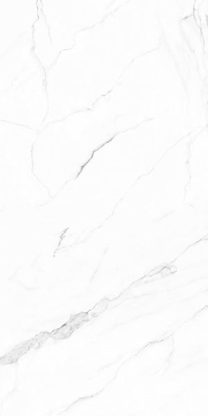 Olimpo 24x48 Polished Marble Look Porcelain Tile