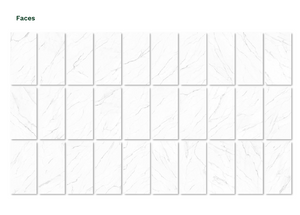 Olimpo 24x48 Polished Marble Look Porcelain Tile