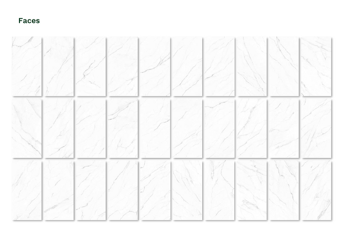 Olimpo 24x48 Polished Marble Look Porcelain Tile 4
