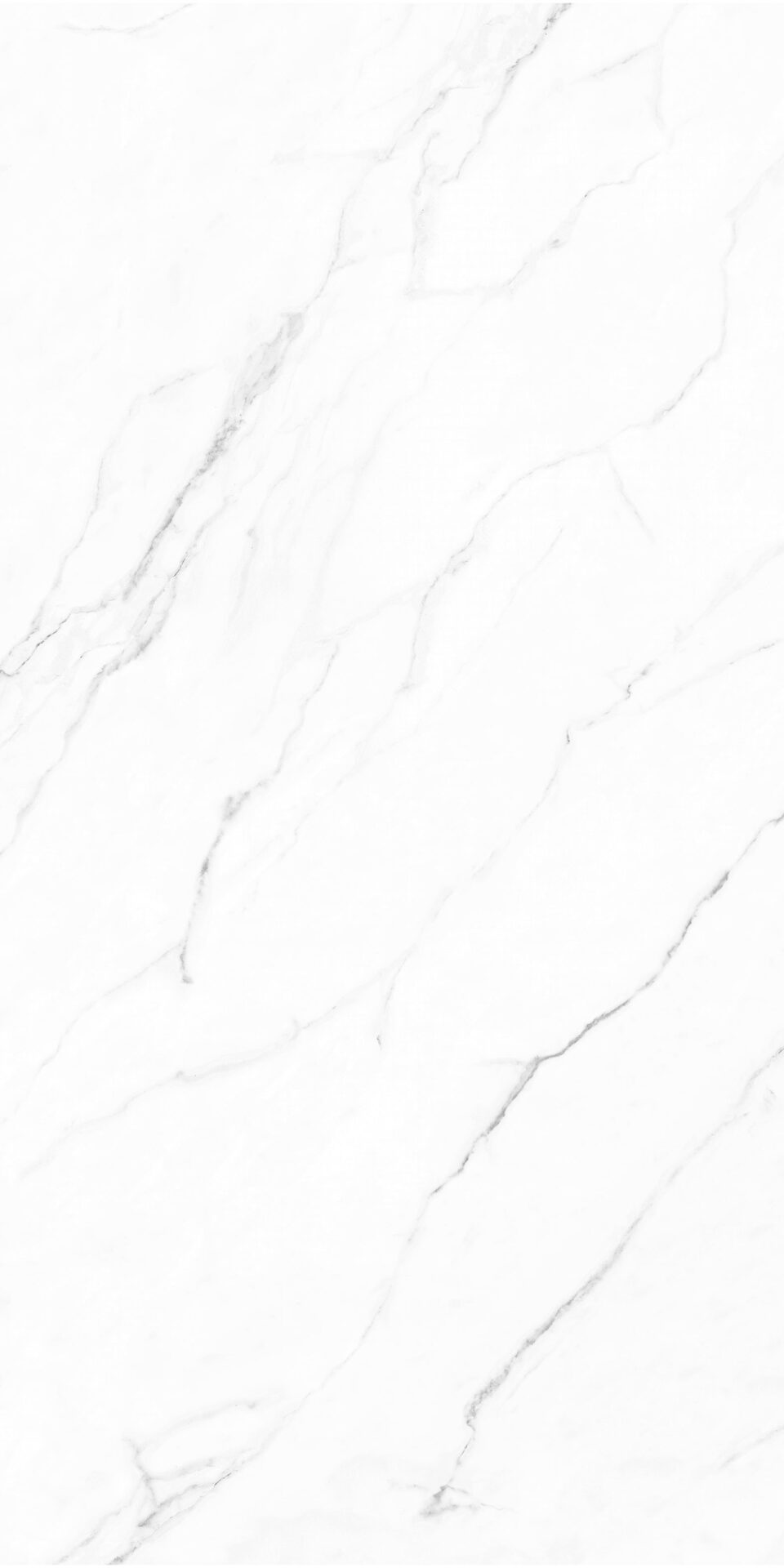Olimpo 24x48 Polished Marble Look Porcelain Tile