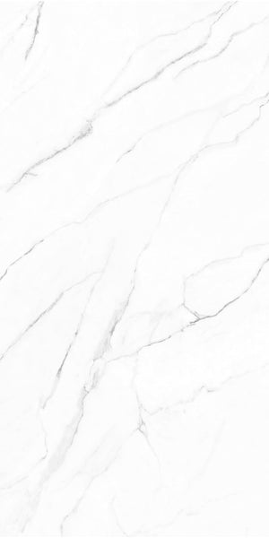 Olimpo 24x48 Polished Marble Look Porcelain Tile
