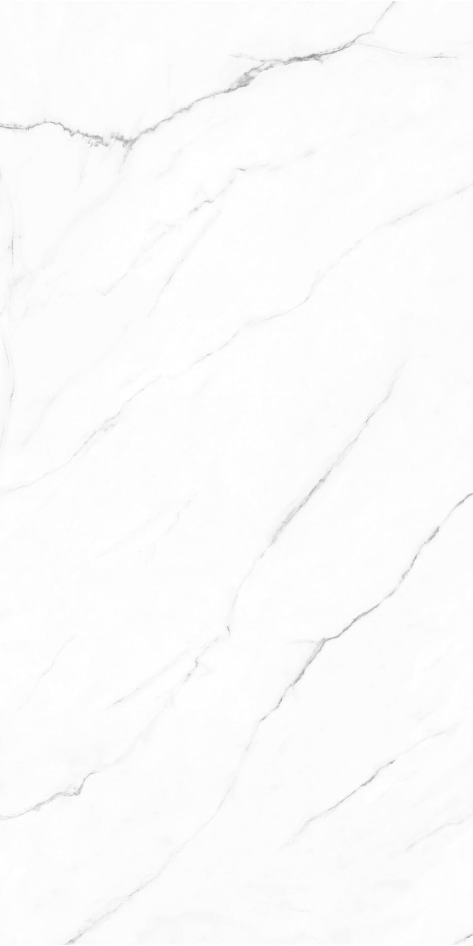 Olimpo 24x48 Polished Marble Look Porcelain Tile