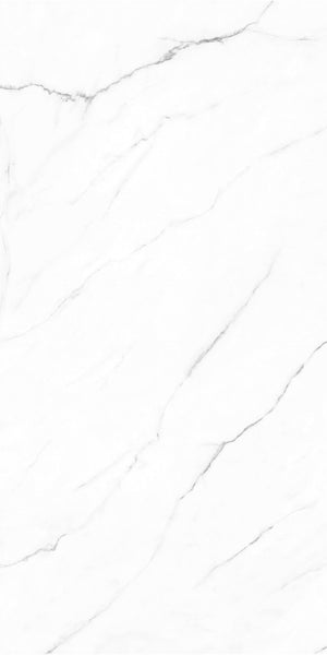 Olimpo 24x48 Polished Marble Look Porcelain Tile