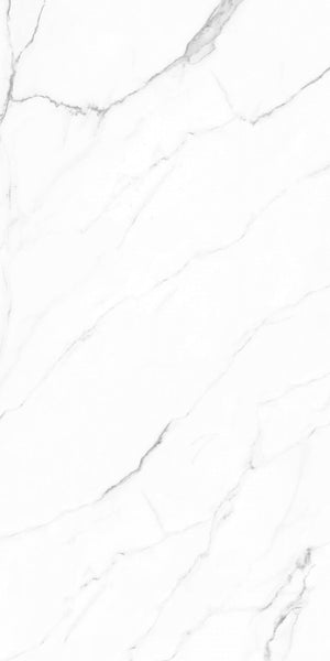 Olimpo 24x48 Polished Marble Look Porcelain Tile