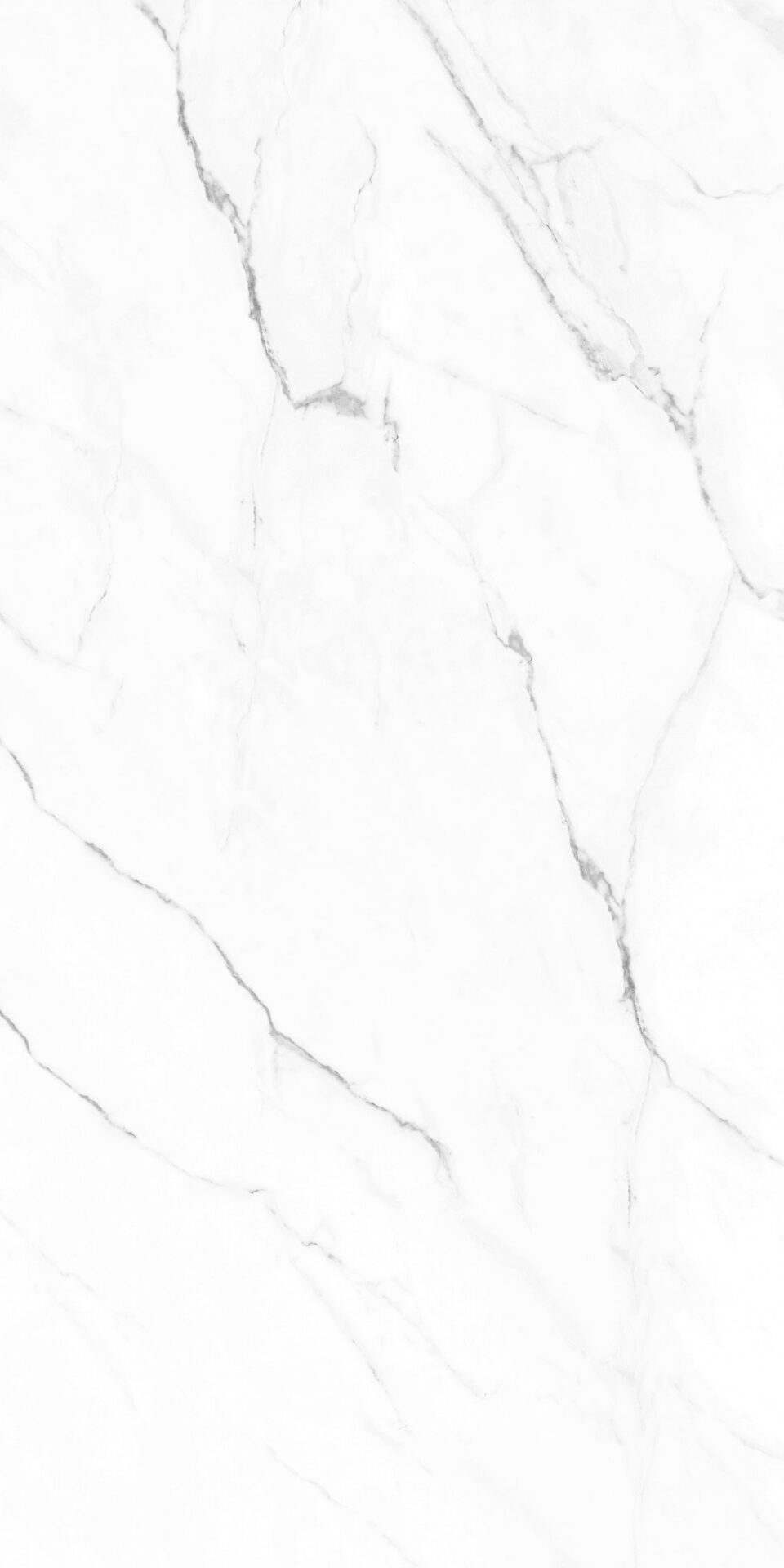 Olimpo 24x48 Polished Marble Look Porcelain Tile