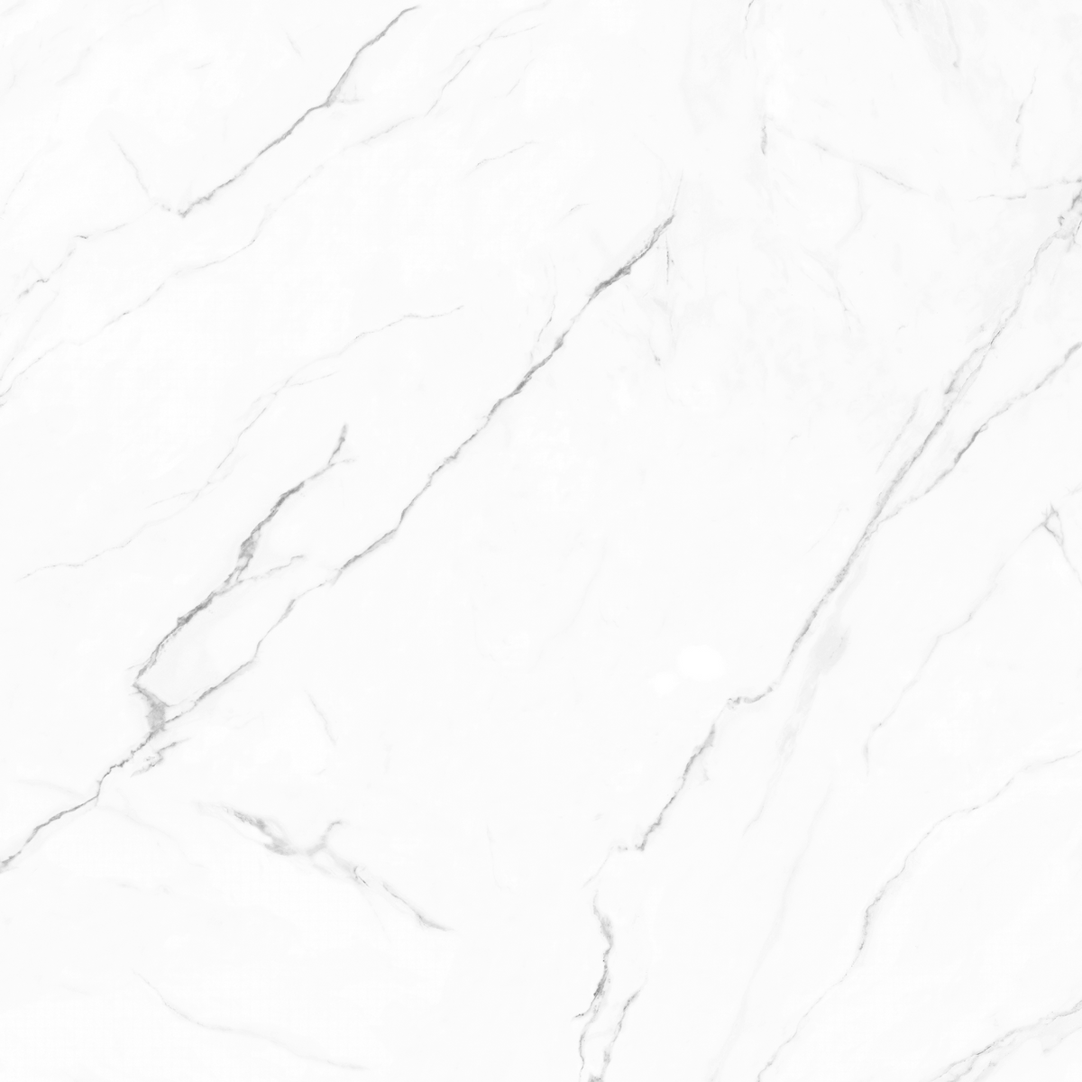 Olimpo 48x48 Polished Marble Look Porcelain Tile