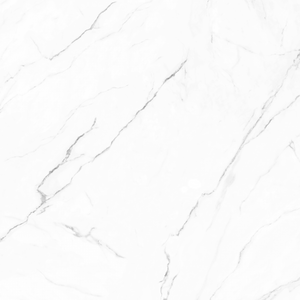 Olimpo 48x48 Polished Marble Look Porcelain Tile