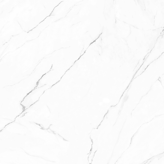 Olimpo 48x48 Polished Marble Look Porcelain Tile 2