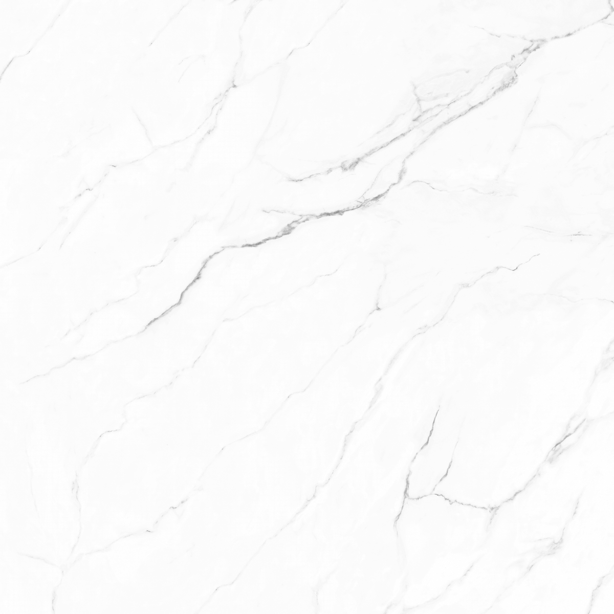 Olimpo 48x48 Polished Marble Look Porcelain Tile