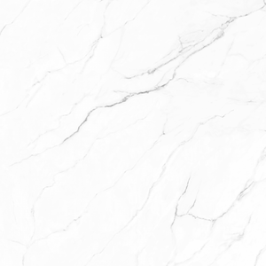 Olimpo 48x48 Polished Marble Look Porcelain Tile
