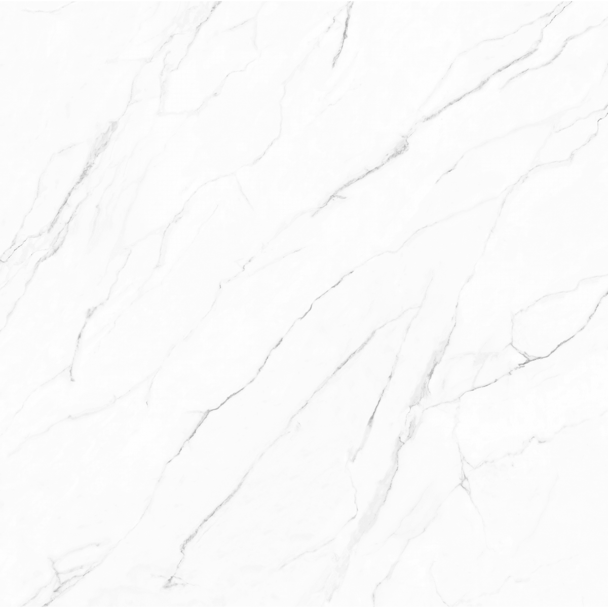 Olimpo 48x48 Polished Marble Look Porcelain Tile