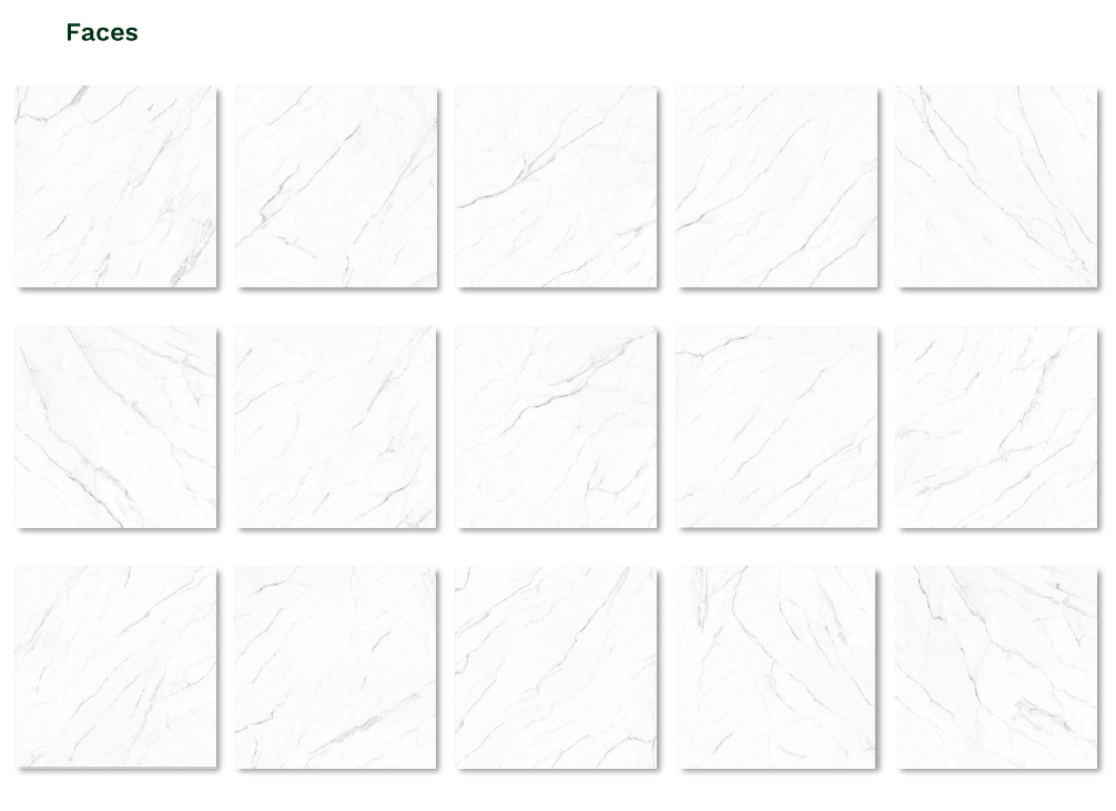 Olimpo 48x48 Polished Marble Look Porcelain Tile