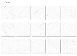 Olimpo 48x48 Polished Marble Look Porcelain Tile
