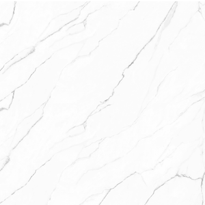 Olimpo 48x48 Polished Marble Look Porcelain Tile