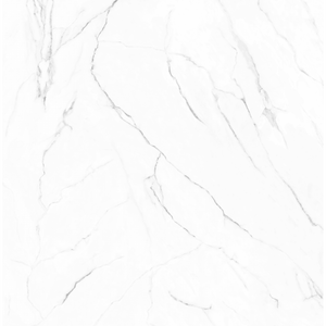 Olimpo 48x48 Polished Marble Look Porcelain Tile