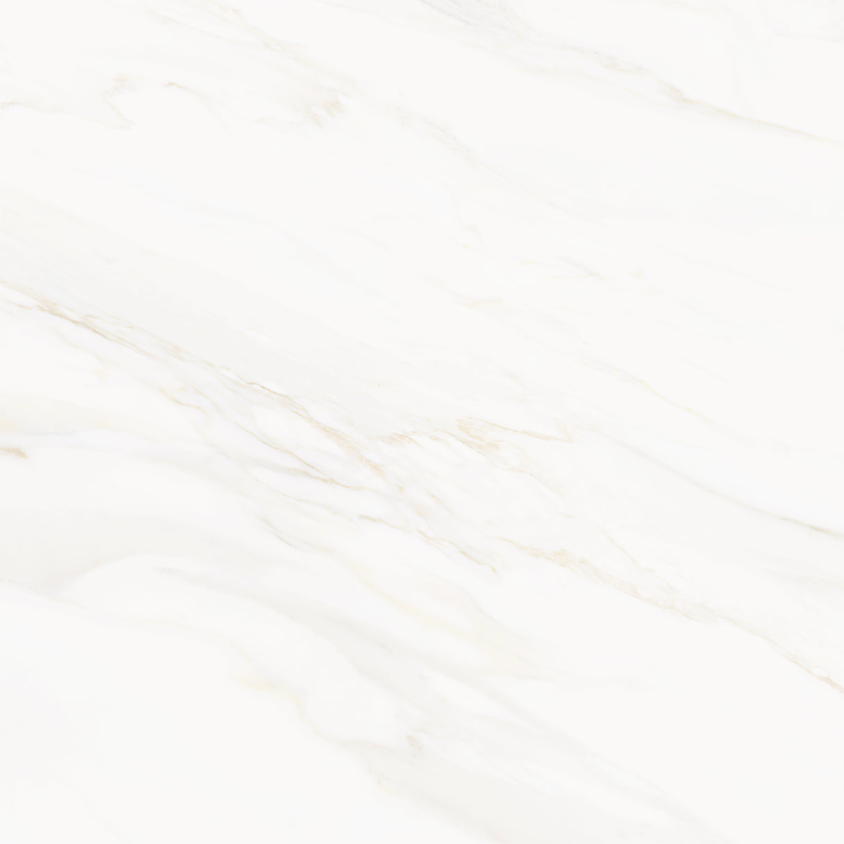 Venus Alpe AC 24x24 Textured Marble Look Porcelain Tile