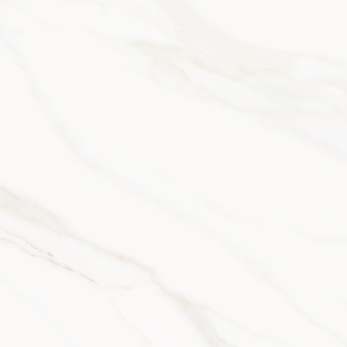 Venus Alpe AC 24x24 Textured Marble Look Porcelain Tile 5