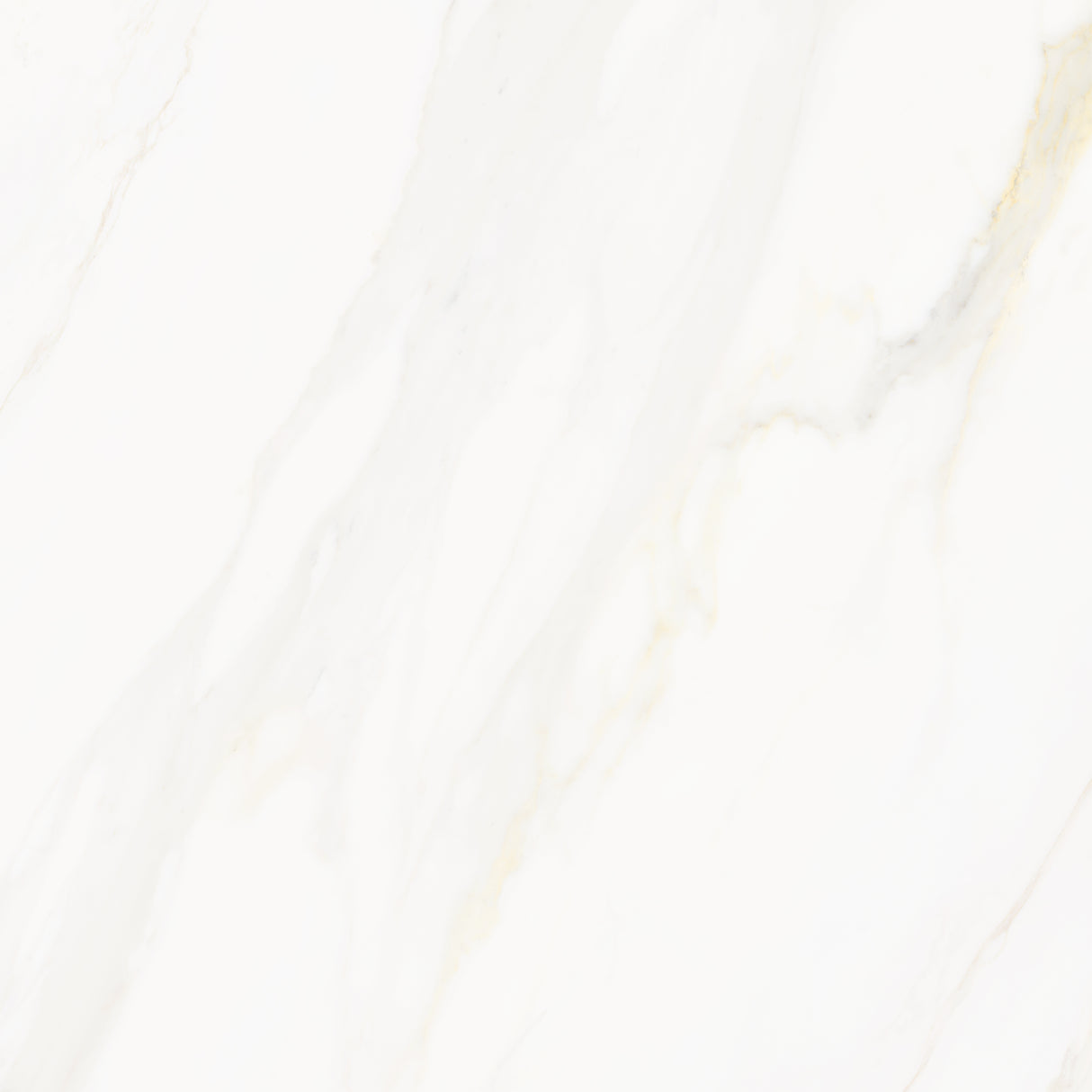 Venus Alpe AC 24x24 Textured Marble Look Porcelain Tile