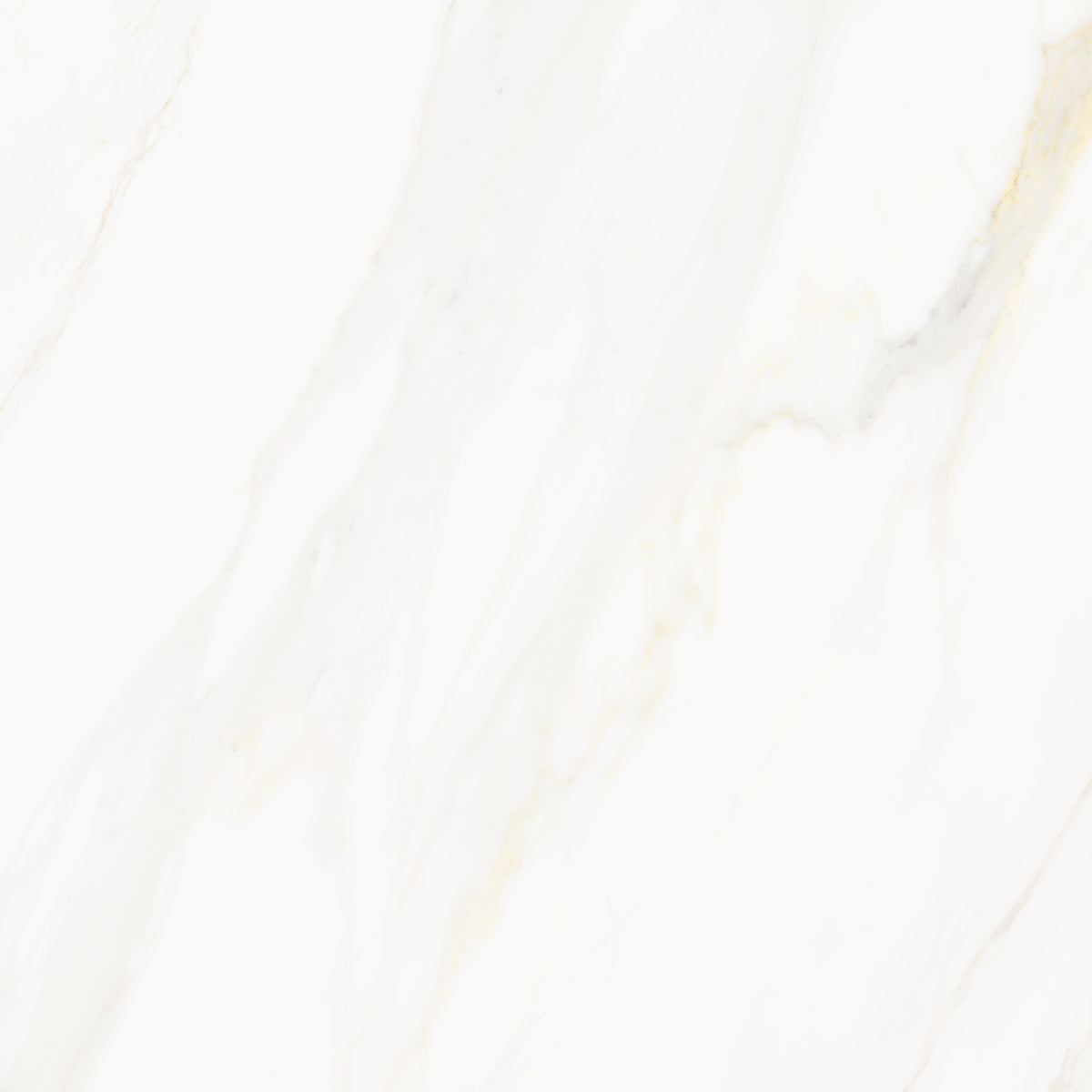 Venus Alpe AC 24x24 Textured Marble Look Porcelain Tile